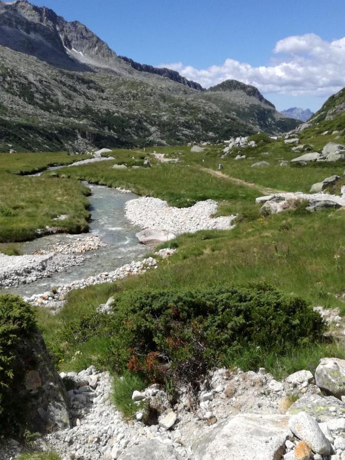 Rifugio Stella Alpina Ξενοδοχείο Saviore dell'Adamello Εξωτερικό φωτογραφία